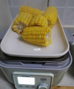 ​蒸箱00度蒸玉米要多久,蒸箱蒸玉米一般需要多少长时间多少度