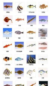 ​海水鱼有哪些种类,淡水鱼有哪些品种