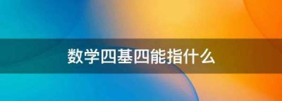 ​四基四能指什么,小学数学四基四能指什么