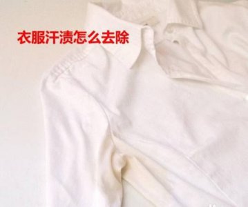 ​洗汗渍用什么洗,衣服后背的汗渍怎么洗掉