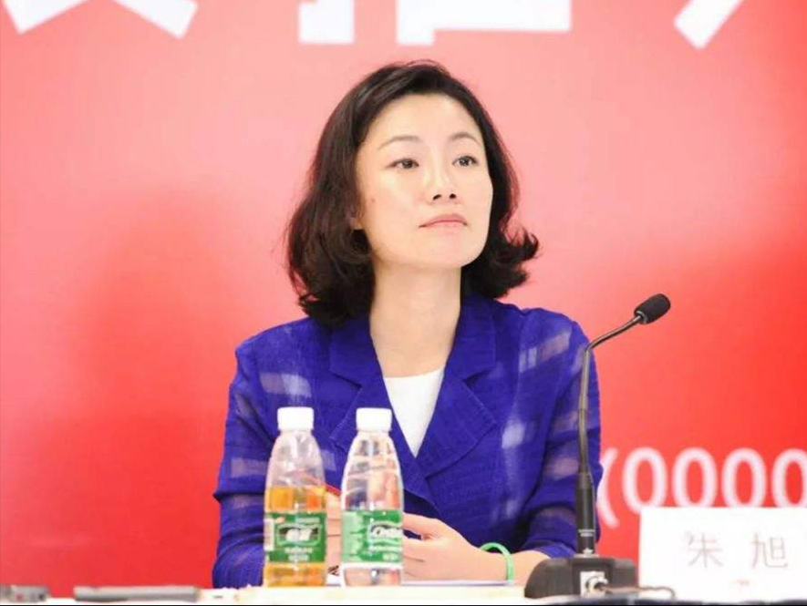 中国“最贵董秘”朱旭：年薪849万，年终奖1000万，47岁仍未婚