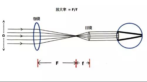 望远镜是谁发明的（望远镜是怎么被发明的？）