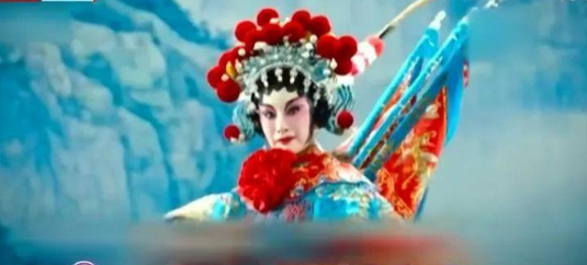 奏海璐简介（“最丑影后”秦海璐：孕期撑起家庭，让丧子丧夫的婆婆有所依靠）