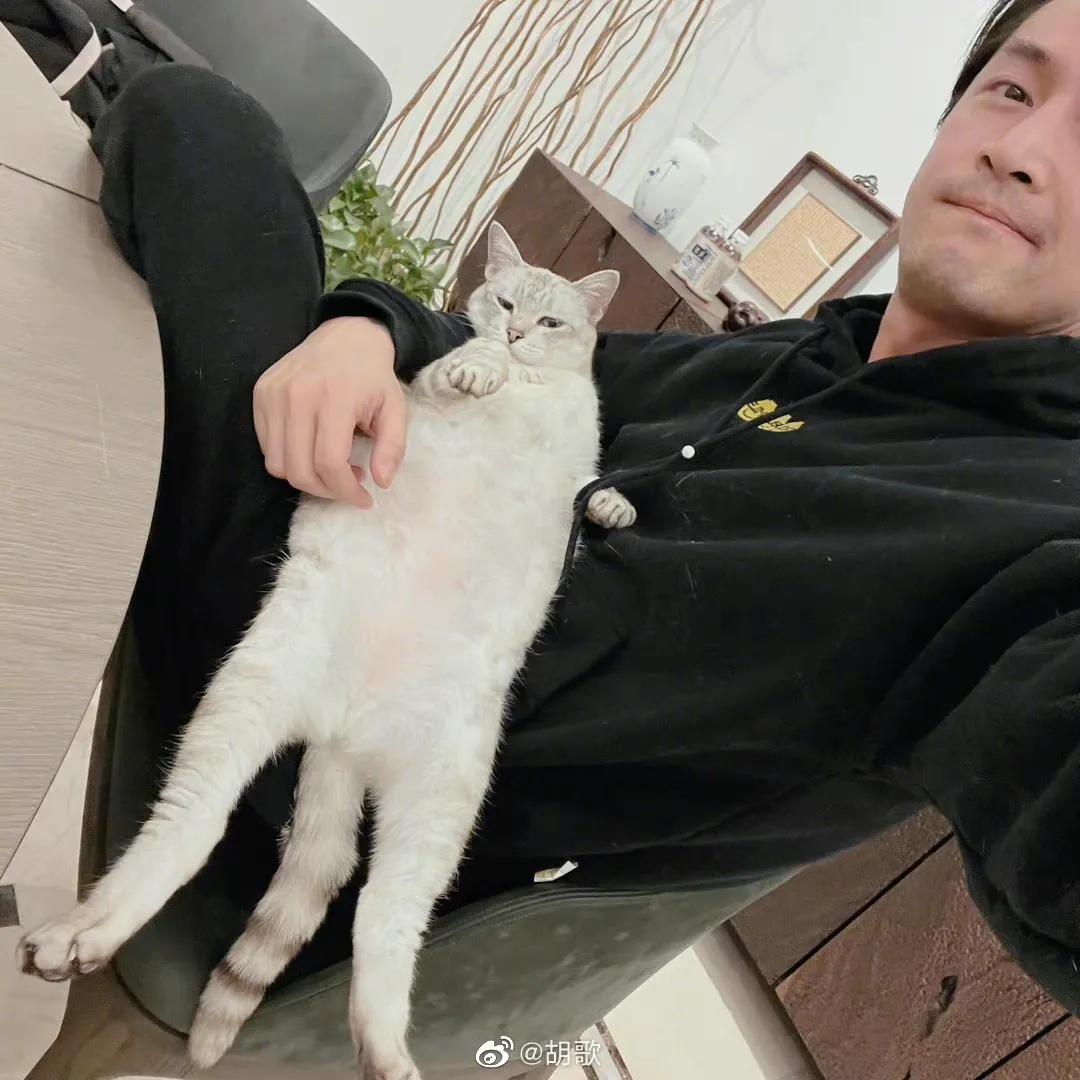 大瓜来了!胡歌突然宣布当爸,透露3点重要信息
