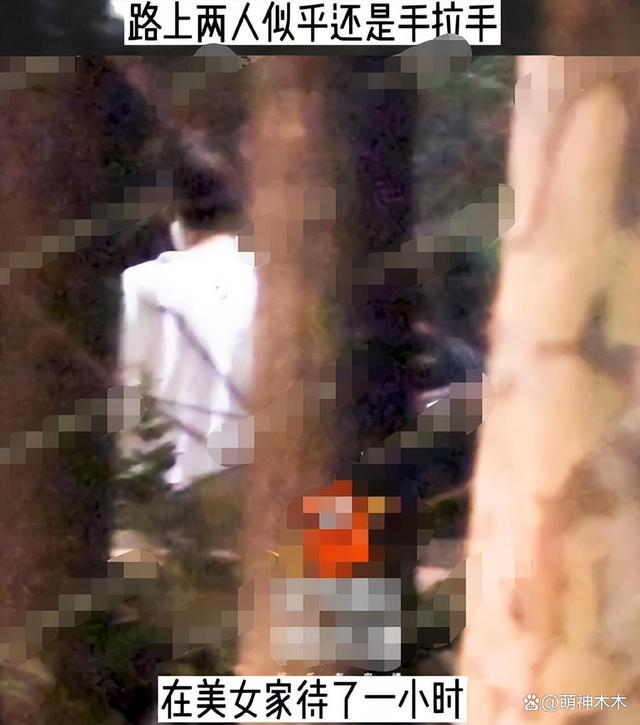 内娱又有孩子了？41岁王鸥被粉丝爆怀孕 男友何九华曾出轨美女车内拥吻