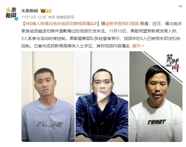 微信截图_20231114095500