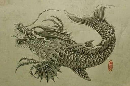 鱼变龙和蛇变龙的区别是什么