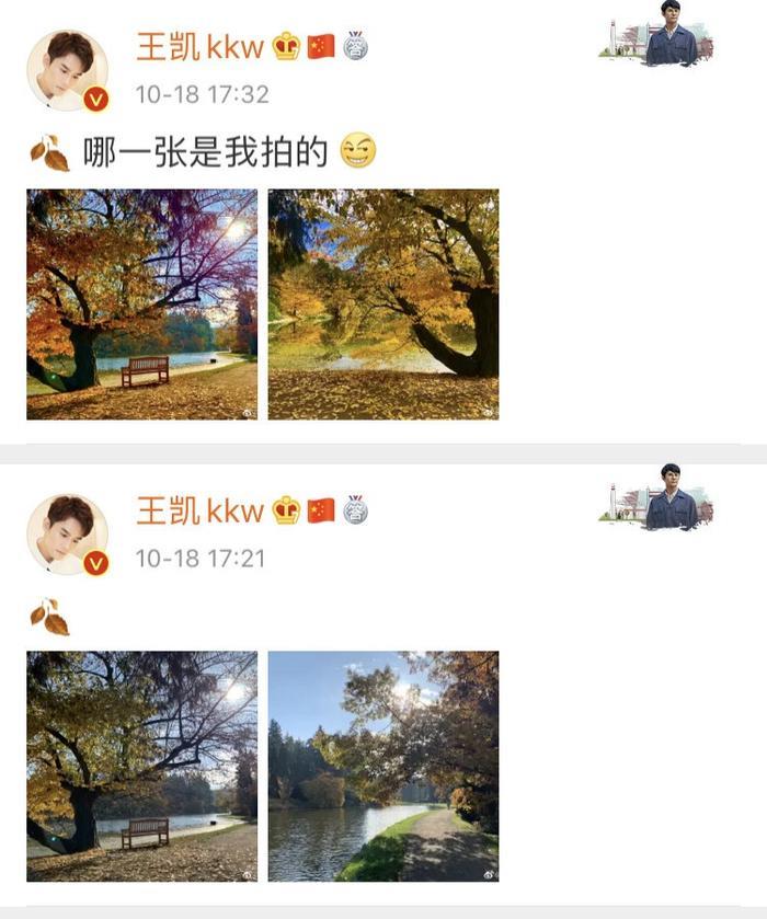 王鸥王凯发一样的微博,官宣?炒作?官方回应都不是