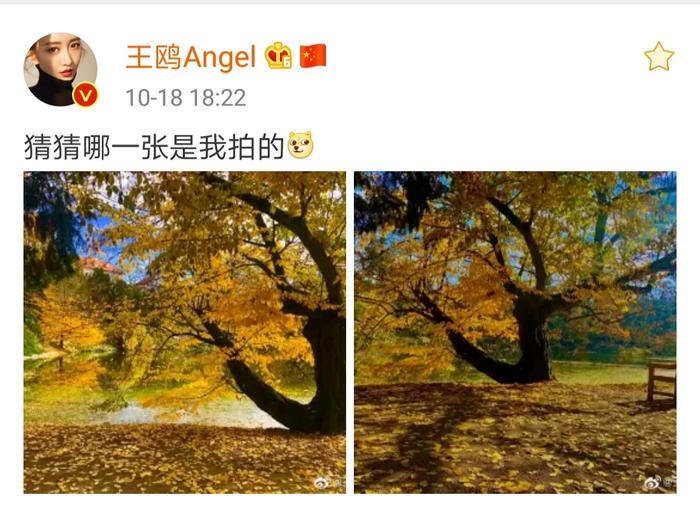 王鸥王凯发一样的微博,官宣?炒作?官方回应都不是