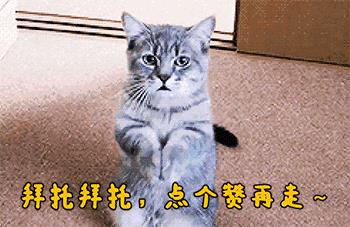 还记得那个大龄却扮嫩,最后苦了焦恩俊的女明星吗?如今怎么样?