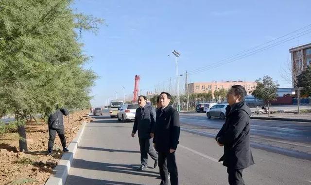 陈天富市长到这些地方调研绿化,提出了具体要求