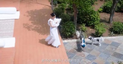43岁霍思燕壮得不敢认,疑似三胎,北京豪宅5亩,网友:好有钱
