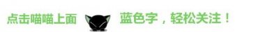 ​理性分析《五等分的花嫁》最后的新娘到底是谁？结论：非五月莫属