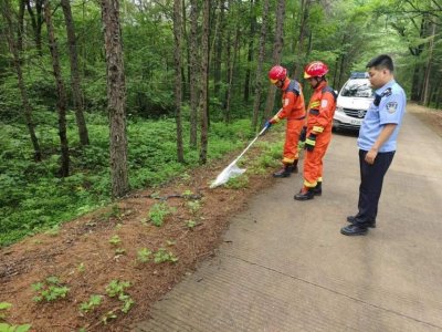 ​2米多长松花蛇“私闯”民宅，他们联手迅速处置
