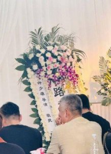 ​徐少强夫妻将共同办理葬礼，雪梨被曝会出席，恨了36年终于选择和解