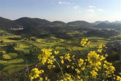 ​曲靖十大好玩的旅游地，一起来看看吧！