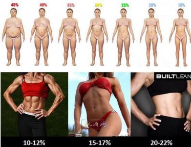 ​最全男女体脂率对比图
