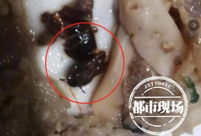 ​男子“亚马逊”吃自助餐 疑似嚼碎了一只蟑螂 店家态度令人寒心