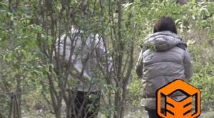 叶祖新张佳宁(叶祖新张佳宁女儿) 叶祖新 张佳宁 第4张