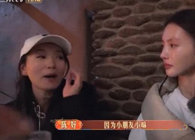 ​陈好罕见在节目首聊家庭，公开了三胎是儿子，6岁儿子出镜可爱