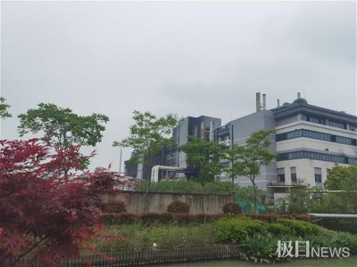 ​员工讲述上海金山大火细节：火从一楼烧起，开始以为是演习，逃出来嘴角都是黑