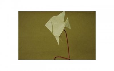 ​张钧甯怎么读（岳云鹏把壁纸换成张钧甯名字）