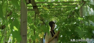 ​王祖贤最新状况如何(衣裙朴素，种菜尝瓜，画面悠然惬意)