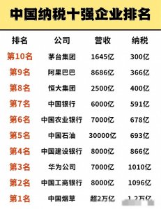 ​纳税最多的十家公司：第十名：茅台集团，大约交了300亿元