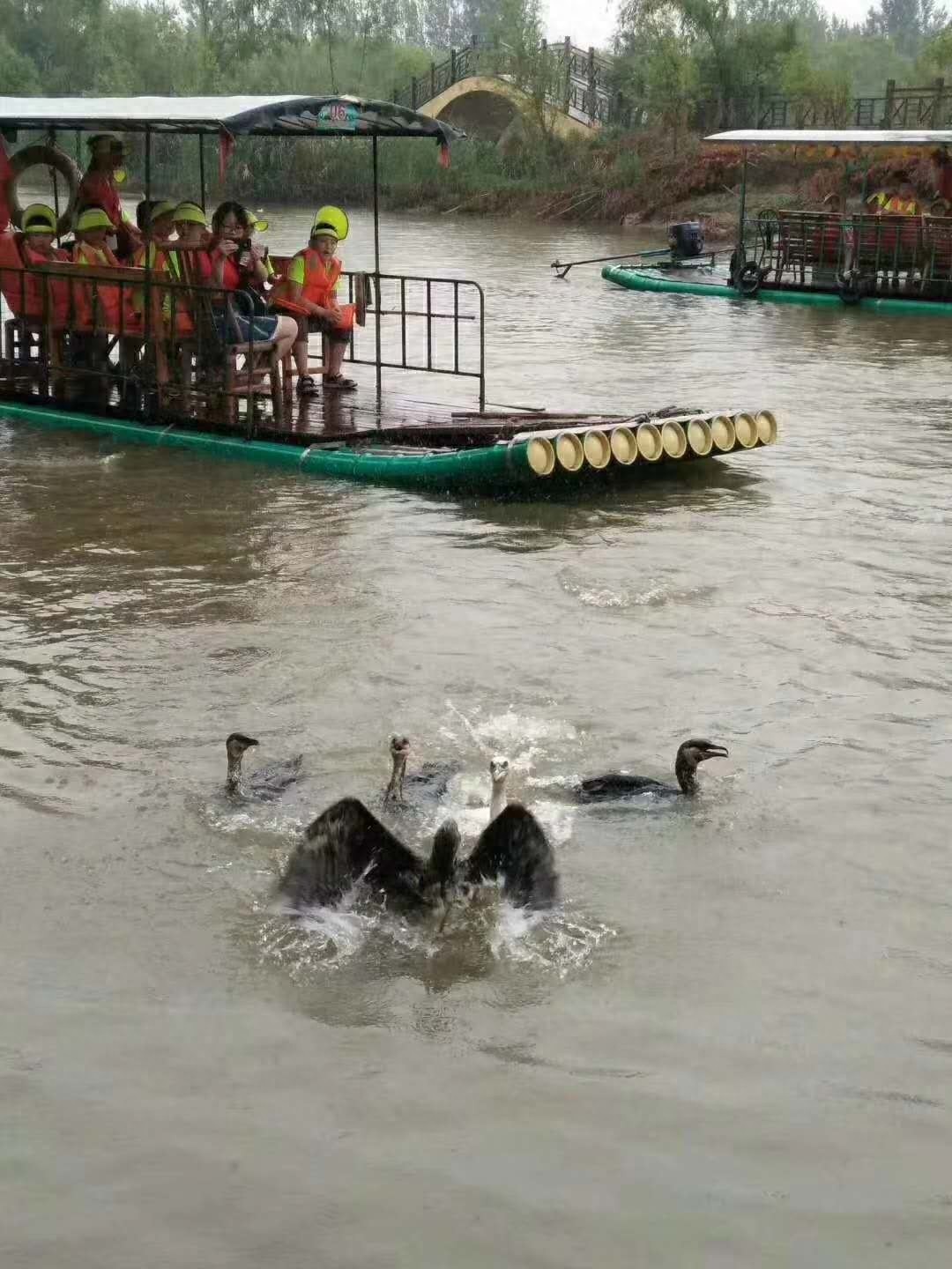 中国北方最大的岛-微山岛环游记