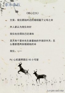 ​非木非石的小说，偏现实向，熟男熟女的爱情也是很甜的