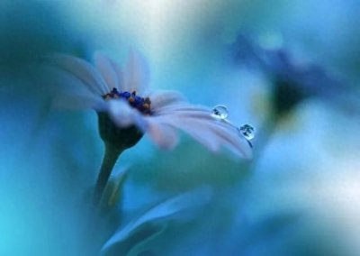 ​原来“山有木兮木有枝，心悦君兮君不知”是同性恋啊！