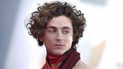 ​甜茶女友都是辣妹！起底提莫西查拉梅历任绯闻对象背景有多狂！