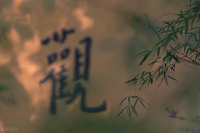 ​因果律：破解生命密码，掌控未来命运！