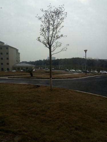 7.交通:可以坐公交车到湾里区(或者其他交通工具)抚州市湾里区南桥镇与九江市交界处附近可乘坐227路公交车直接到八一水库公交站下车也可步行;