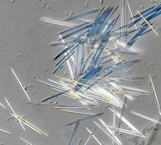 ​菠萝为什么要泡“盐水”？放大20倍后一看，再也不敢直接吃了！