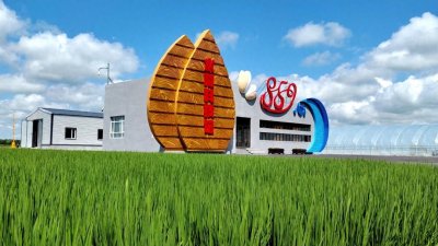 ​北大荒集团八五九农场深耕绿色农业 擦亮农业发展“新底色”