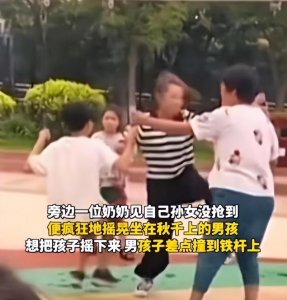 ​秋千门事件完整照片（两个小孩抢秋千事件）