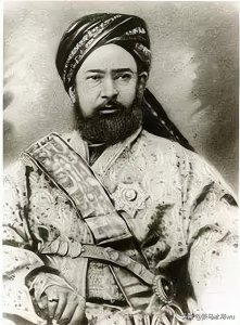 ​中亚军阀阿古柏非法窜入新疆 ，企图分裂中国，幸亏大清有个左宗棠