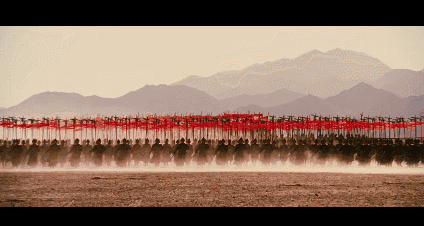 陈仓在今天何处（陈仓地区的由来）(4)