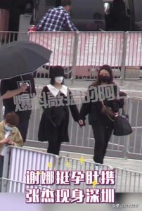 ​谢娜生了男孩照片（被曝二胎怀的是男孩）