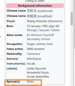 ​张韶涵结婚了吗（同神秘男友为何九年还不结婚）