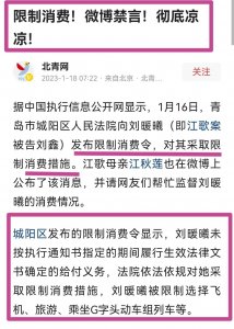 刘鑫的闺蜜怒斥青岛中院，欺负小姑娘！知情人透露，她的真实身份