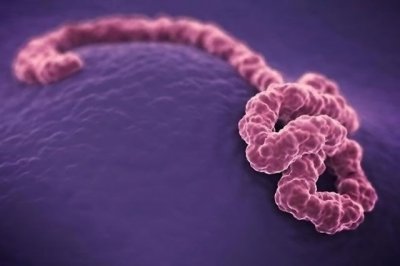 ​恐怖的埃博拉病毒从何而来？中国疫苗研制成功，解救非洲兄弟