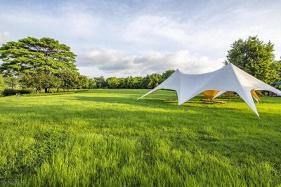 ​什么是三公经费？如何对三公进行管理？审计时重点关注那些方面？