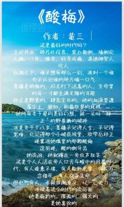 ​推文：揪心揪肺的小说《酸梅》作者：黄三