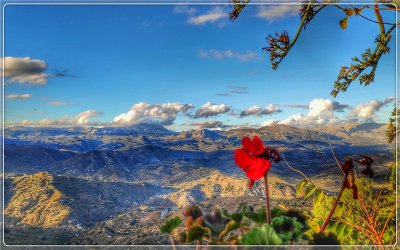 ​5万元投入在农村创业，能做哪些收入比较稳定的项目？推荐这几个