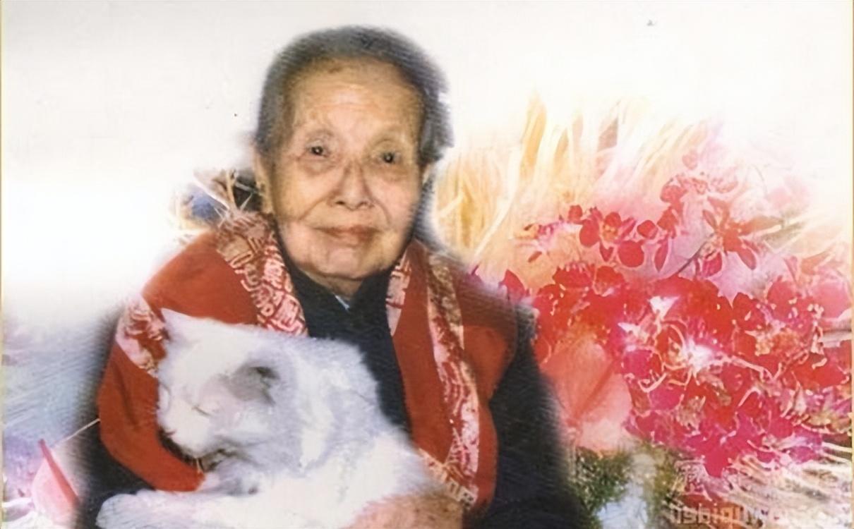 冰心的简介及个人资料：集万千宠爱于一身，也集万千讨厌于一身