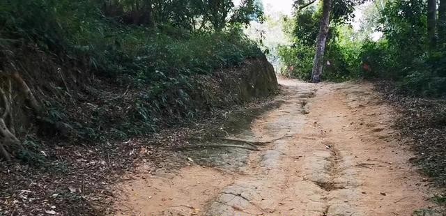 杨玉环是哪里人（杨贵妃是不是广西容县人）