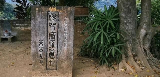 杨玉环是哪里人（杨贵妃是不是广西容县人）