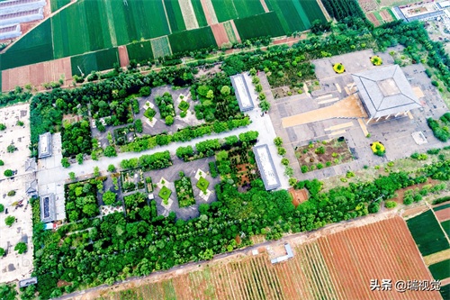 山东济南:章丘洛庄汉墓出土文物3000件,2000年前“地下音乐厅”